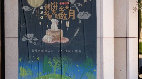 宣传物料设计标准必看：易拉宝设计80×200cm标准下的视觉重心布局技巧