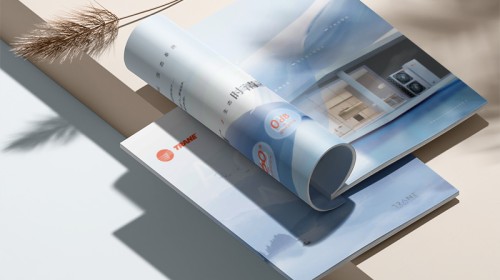 开云官网注册下载安装教程多少钱一p | 2025专业开云官网注册下载安装教程价格指南与优化建议