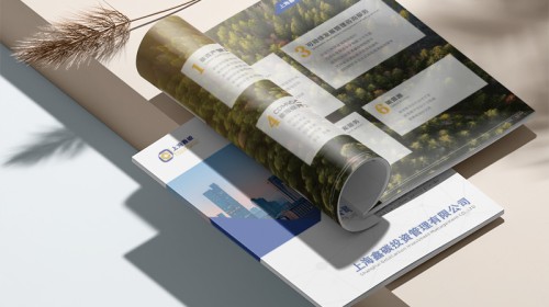 宣传册设计收费指南：合理预算，打造高价值视觉形象 | 专业解析