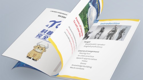 产品图片排版指南：高效组织10+产品图的策略与技巧