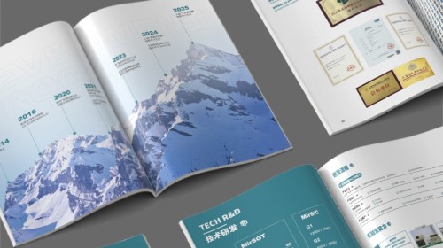 专业宣传册设计与制作全解读：从排版到印刷，让您的品牌自己会说话