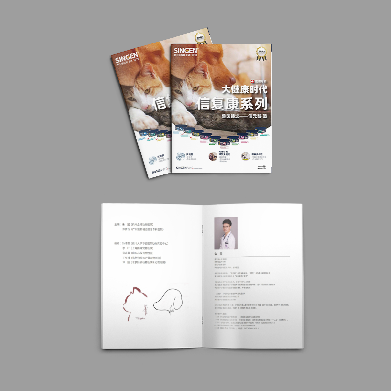 设计企业宣传册